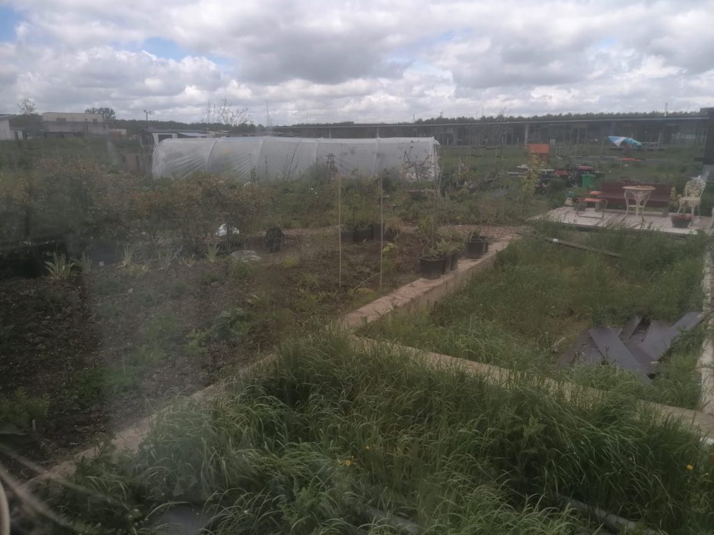 caravan uitzicht tuin